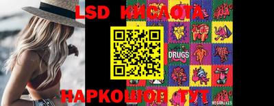индика Кандалакша
