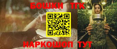 индика Кандалакша