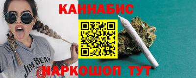 индика Кандалакша