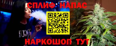 индика Кандалакша