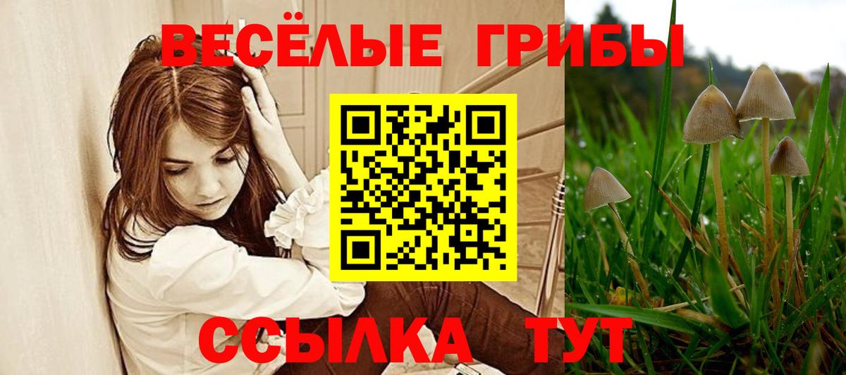 Якутск  купить наркоту  Галлюциногенные грибы ЛСД  Вход с VPN  Галлюциногенные грибы Psilocybine cubensis 